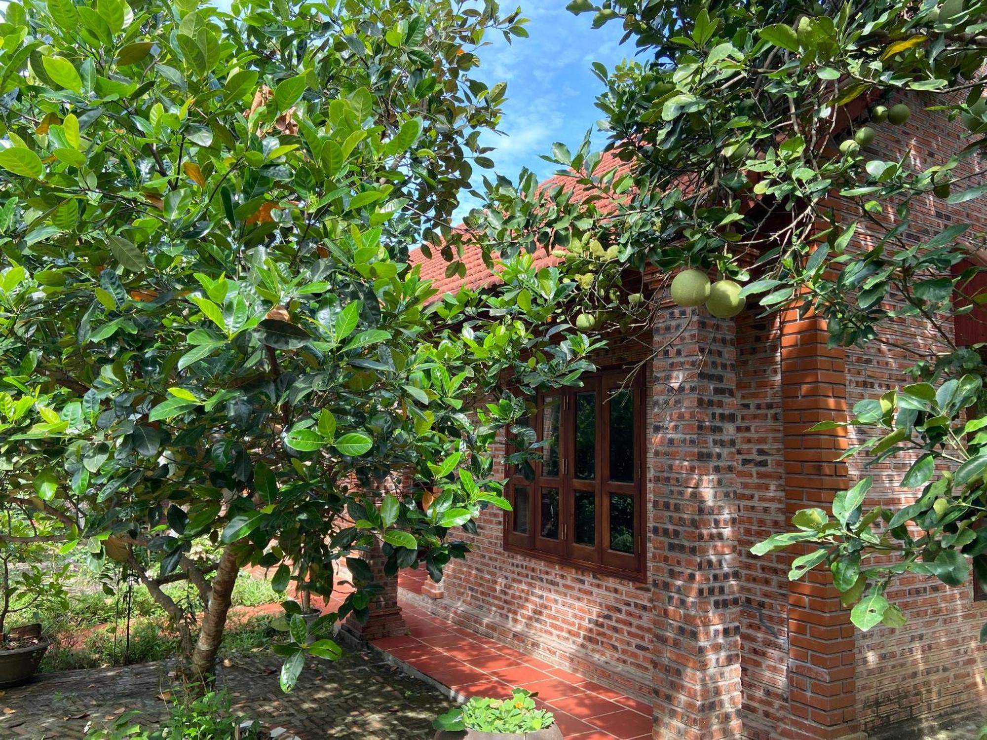 Ninh Binh Friendly Homestay Exterior foto